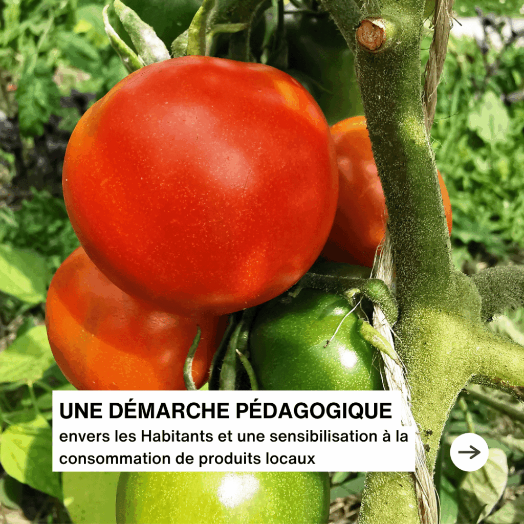Une démarche pédagogique envers les habitants et une sensibilisation à la consommation de produits locaux