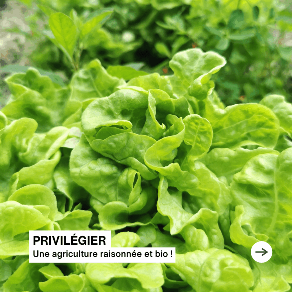 Privilégier une agriculture raisonnée et bio