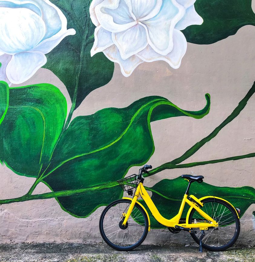 10 choses surprenantes à savoir sur les Habitations en coliving par Compose